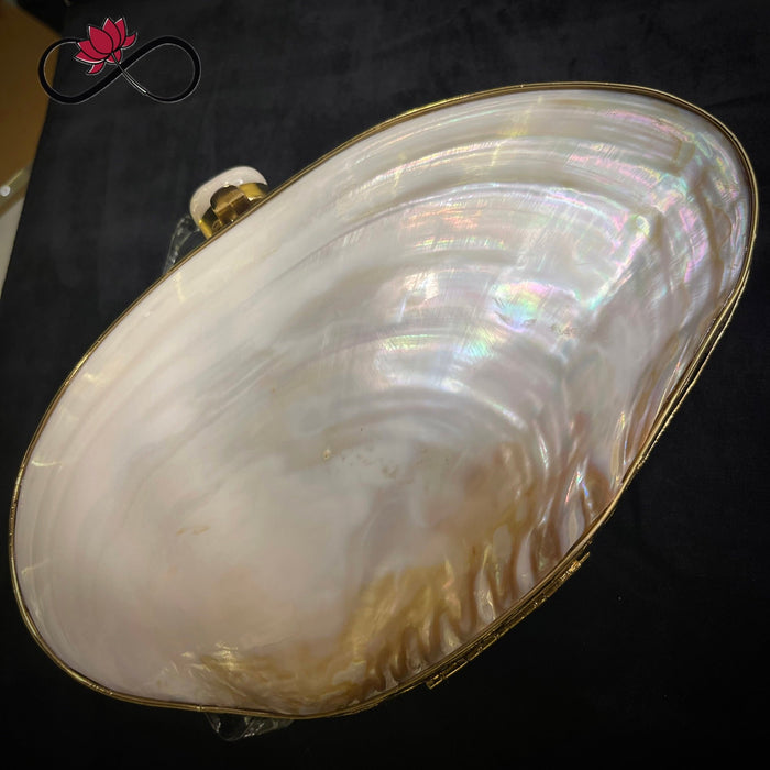 Angular Mother of Pearl Handcrafted Brass Clutch