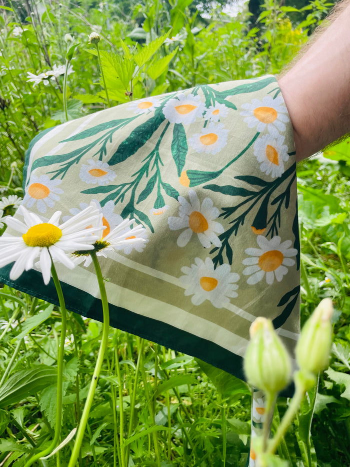 Daisy Field Motive Scarf
