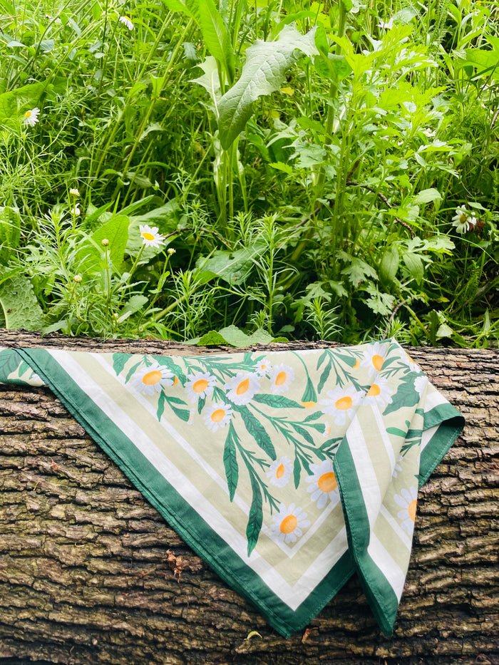 Daisy Field Motive Scarf