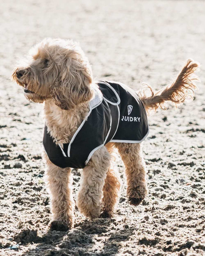 Black Grey coloured Equidry Microfibre Fleece Waterproof Dog Coat on outdoor background #colour_black-grey