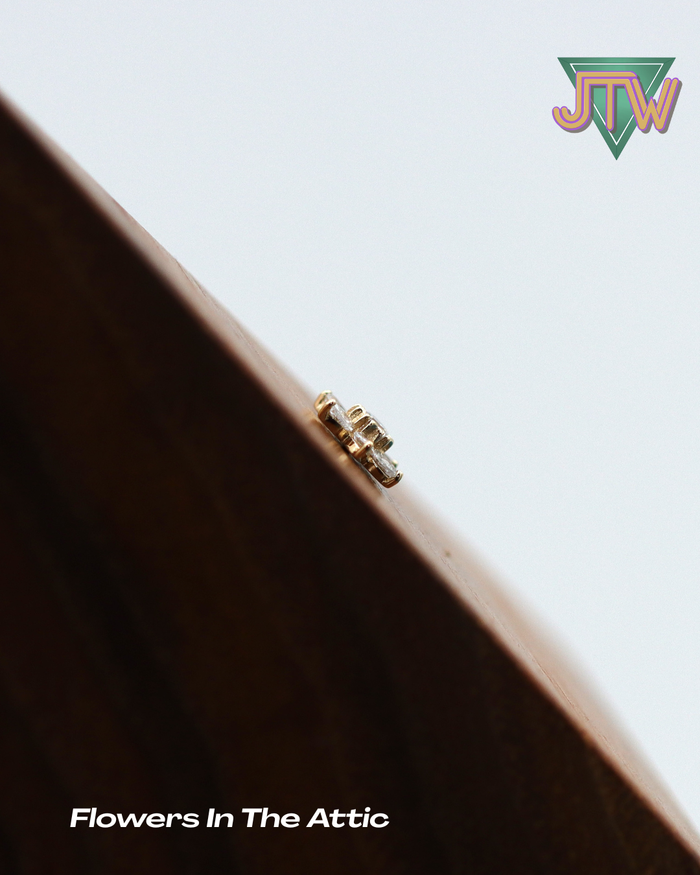 Flowers in the Attic