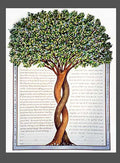 Intertwining Trees Ketubah