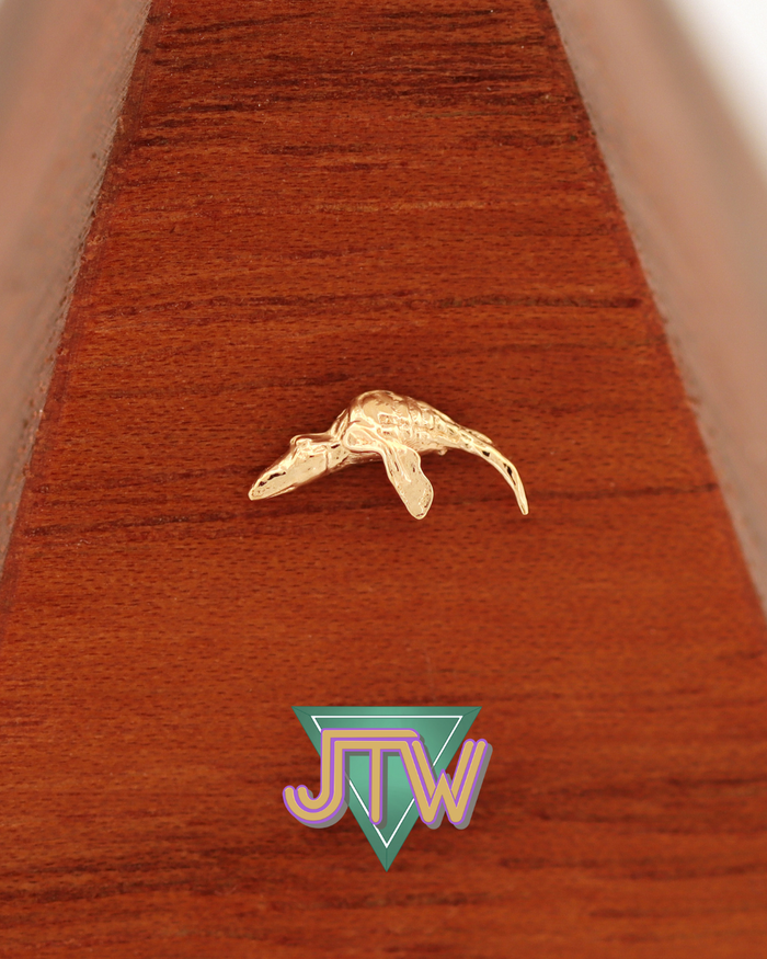 Liopleurodon