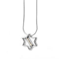 Michael Bromberg Jewish Star/Mezuzah Pendant