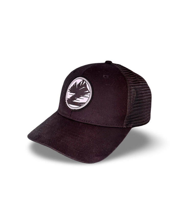 Skinz Z Logo Curved Brim Mesh SnapBack